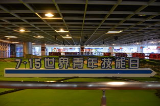 技能筑夢(mèng) 青春飛揚(yáng)——我市成功舉辦世界青年技能日系列宣傳活動(dòng)成果展