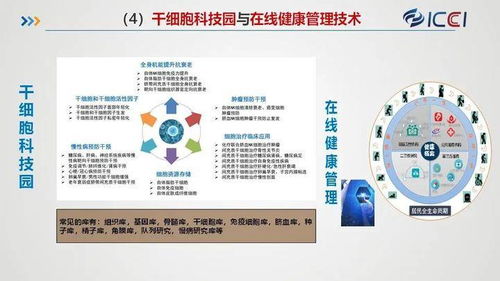 國合院發布八大規劃與產業化業務布局，賦能旅游開發項目策劃咨詢新篇章